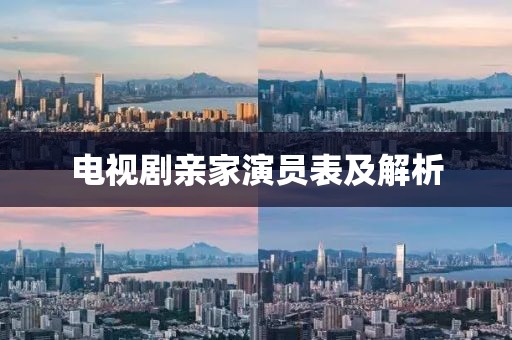 電視劇親家演員表及解析
