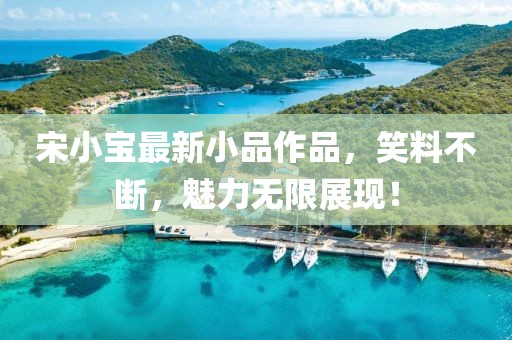 宋小寶最新小品作品，笑料不斷，魅力無(wú)限展現(xiàn)！