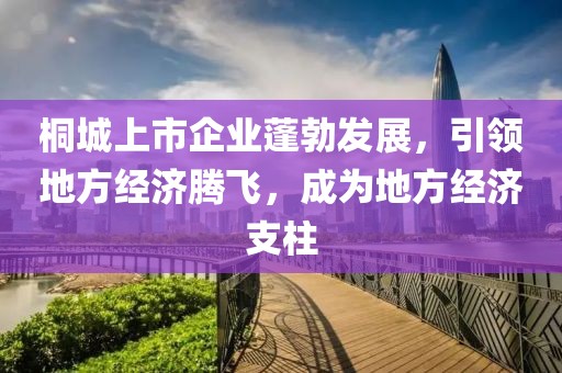 桐城上市企業(yè)蓬勃發(fā)展，引領(lǐng)地方經(jīng)濟(jì)騰飛，成為地方經(jīng)濟(jì)支柱