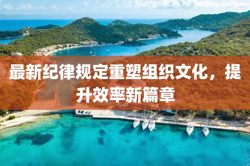 最新紀律規(guī)定重塑組織文化，提升效率新篇章