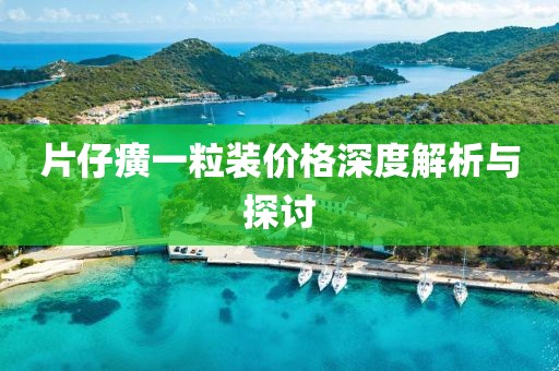 片仔癀一粒裝價格深度解析與探討
