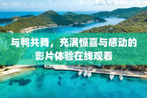 與鴨共舞，充滿驚喜與感動(dòng)的影片體驗(yàn)在線觀看