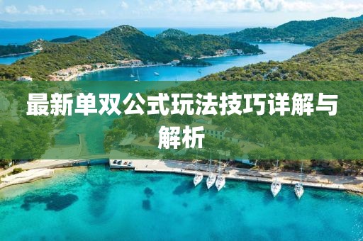 最新單雙公式玩法技巧詳解與解析