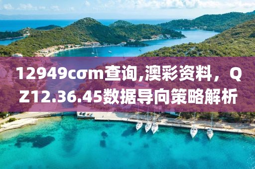 12949cσm查詢,澳彩資料，QZ12.36.45數(shù)據(jù)導(dǎo)向策略解析