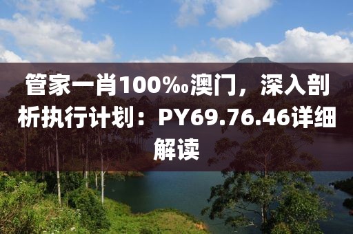 管家一肖100‰澳門，深入剖析執(zhí)行計劃：PY69.76.46詳細解讀