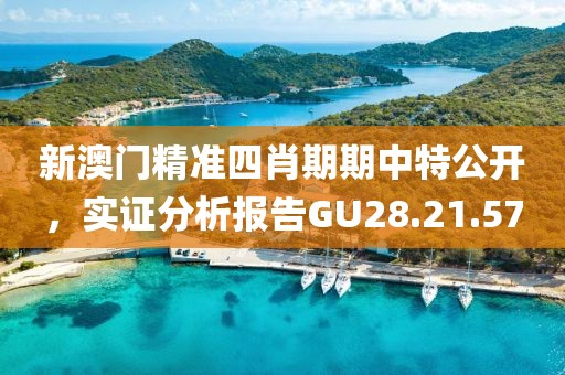 新澳門精準四肖期期中特公開，實證分析報告GU28.21.57