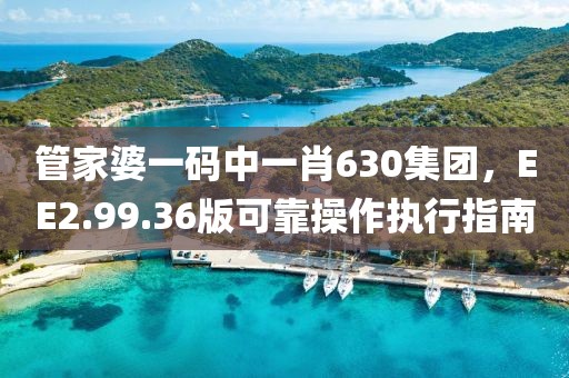 管家婆一碼中一肖630集團(tuán)，EE2.99.36版可靠操作執(zhí)行指南