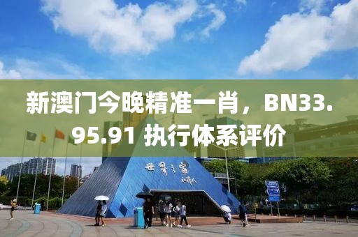 新澳門今晚精準一肖，BN33.95.91 執(zhí)行體系評價