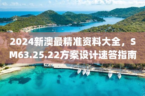 2024新澳最精準(zhǔn)資料大全，SM63.25.22方案設(shè)計(jì)速答指南