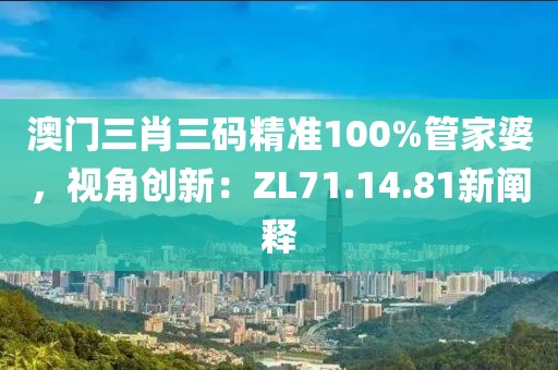 澳門三肖三碼精準(zhǔn)100%管家婆，視角創(chuàng)新：ZL71.14.81新闡釋