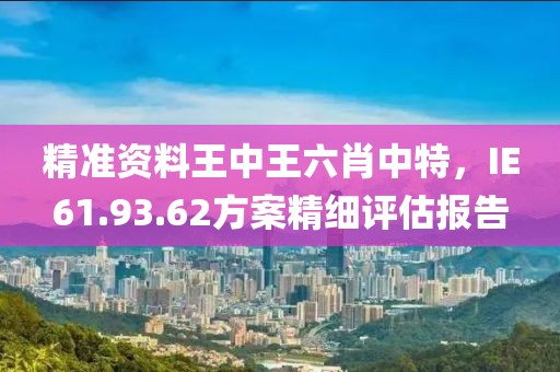 精準(zhǔn)資料王中王六肖中特，IE61.93.62方案精細(xì)評(píng)估報(bào)告