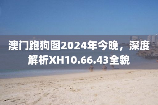 澳門跑狗圖2024年今晚，深度解析XH10.66.43全貌