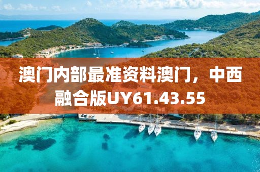 澳門內(nèi)部最準資料澳門，中西融合版UY61.43.55
