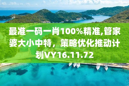 最準一碼一肖100%精準,管家婆大小中特，策略優(yōu)化推動計劃VY16.11.72