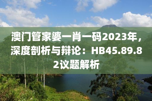 澳門管家婆一肖一碼2023年，深度剖析與辯論：HB45.89.82議題解析