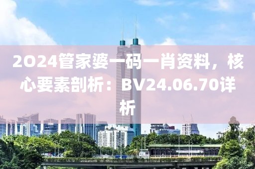 2O24管家婆一碼一肖資料，核心要素剖析：BV24.06.70詳析