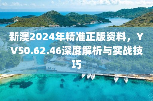 新澳2024年精準正版資料，YV50.62.46深度解析與實戰(zhàn)技巧