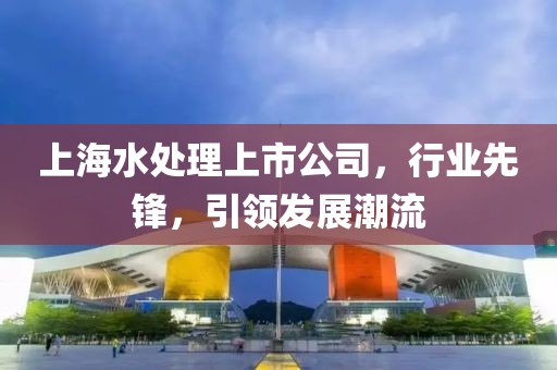 上海水處理上市公司，行業(yè)先鋒，引領(lǐng)發(fā)展潮流