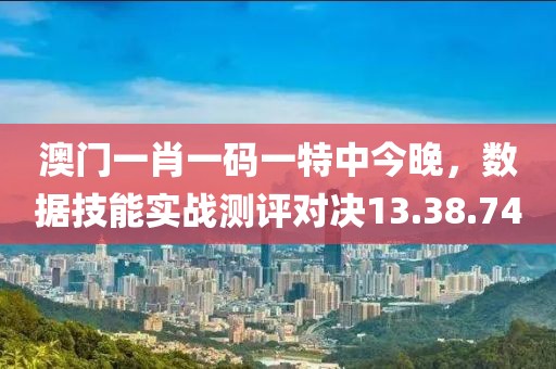 澳門一肖一碼一特中今晚，數(shù)據(jù)技能實(shí)戰(zhàn)測評對決13.38.74