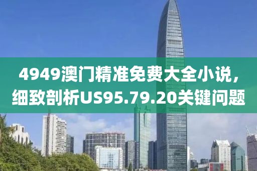 4949澳門精準免費大全小說，細致剖析US95.79.20關鍵問題