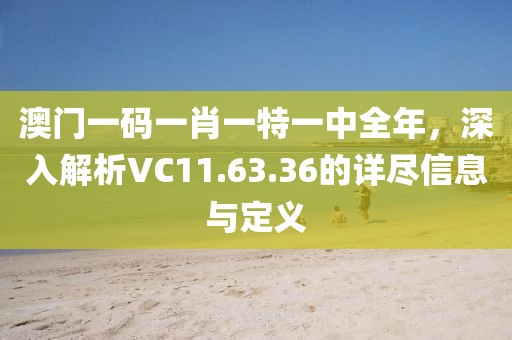 澳門(mén)一碼一肖一特一中全年，深入解析VC11.63.36的詳盡信息與定義