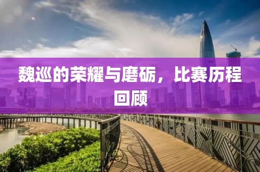 魏巡的榮耀與磨礪，比賽歷程回顧