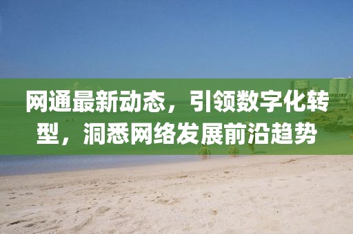 網通最新動態(tài)，引領數(shù)字化轉型，洞悉網絡發(fā)展前沿趨勢