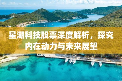 星湖科技股票深度解析，探究?jī)?nèi)在動(dòng)力與未來(lái)展望