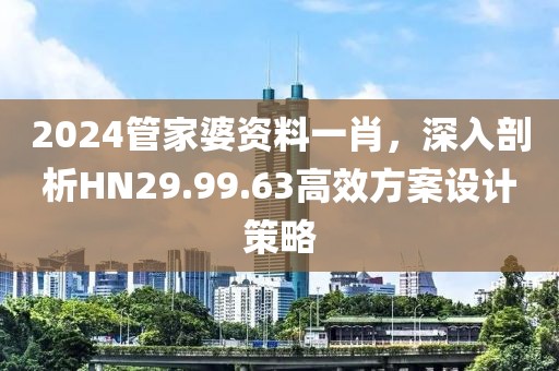 2024管家婆資料一肖，深入剖析HN29.99.63高效方案設(shè)計(jì)策略