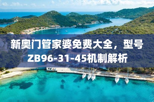 新奧門管家婆免費大全，型號ZB96-31-45機制解析