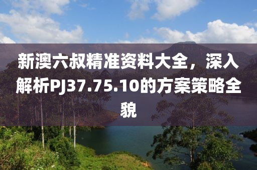 新澳六叔精準(zhǔn)資料大全，深入解析PJ37.75.10的方案策略全貌