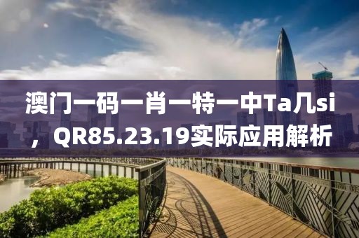 澳門一碼一肖一特一中Ta幾si，QR85.23.19實(shí)際應(yīng)用解析