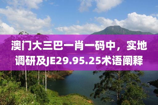 澳門(mén)大三巴一肖一碼中，實(shí)地調(diào)研及JE29.95.25術(shù)語(yǔ)闡釋