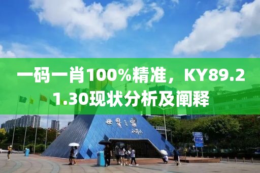 一碼一肖100%精準(zhǔn)，KY89.21.30現(xiàn)狀分析及闡釋