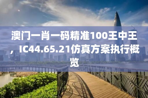澳門一肖一碼精準100王中王，IC44.65.21仿真方案執(zhí)行概覽