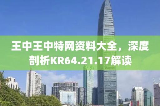 王中王中特網(wǎng)資料大全，深度剖析KR64.21.17解讀