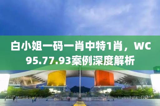 白小姐一碼一肖中特1肖，WC95.77.93案例深度解析