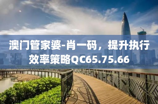 澳門管家婆-肖一碼，提升執(zhí)行效率策略QC65.75.66