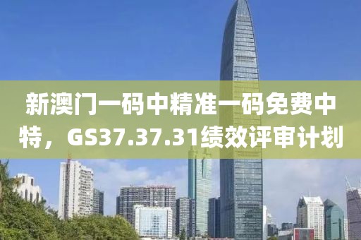 新澳門(mén)一碼中精準(zhǔn)一碼免費(fèi)中特，GS37.37.31績(jī)效評(píng)審計(jì)劃