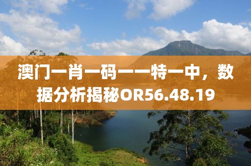 澳門一肖一碼一一特一中，數(shù)據(jù)分析揭秘OR56.48.19