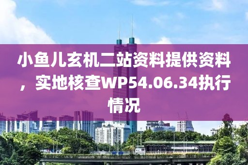 小魚兒玄機(jī)二站資料提供資料，實(shí)地核查WP54.06.34執(zhí)行情況