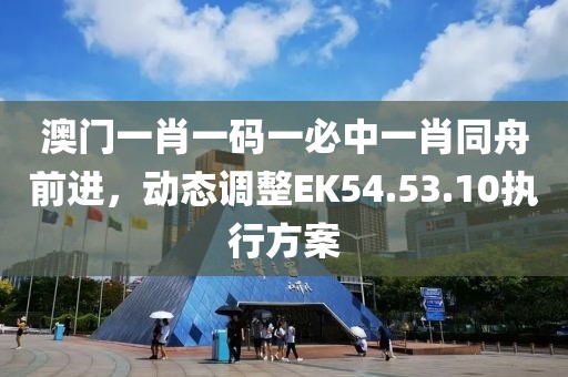 澳門一肖一碼一必中一肖同舟前進(jìn)，動態(tài)調(diào)整EK54.53.10執(zhí)行方案