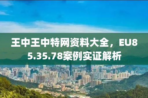 王中王中特網(wǎng)資料大全，EU85.35.78案例實(shí)證解析