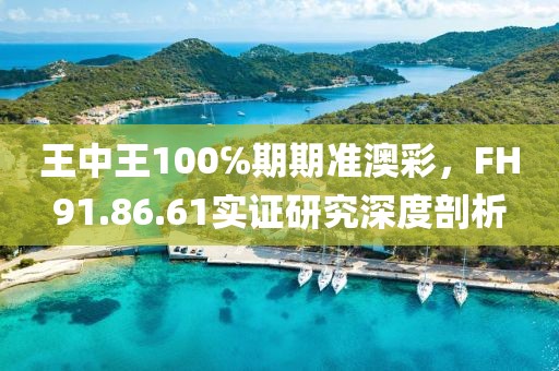 王中王100℅期期準(zhǔn)澳彩，F(xiàn)H91.86.61實(shí)證研究深度剖析