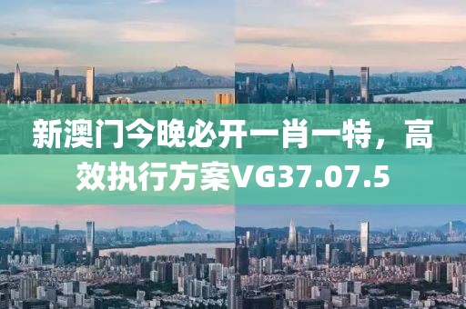 新澳門今晚必開一肖一特，高效執(zhí)行方案VG37.07.5