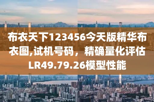 布衣天下123456今天版精華布衣圖,試機(jī)號(hào)碼，精確量化評(píng)估LR49.79.26模型性能