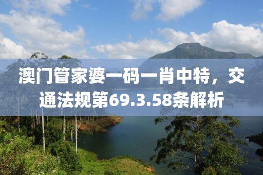 澳門管家婆一碼一肖中特，交通法規(guī)第69.3.58條解析