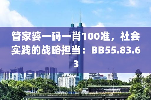 管家婆一碼一肖100準(zhǔn)，社會實踐的戰(zhàn)略擔(dān)當(dāng)：BB55.83.63