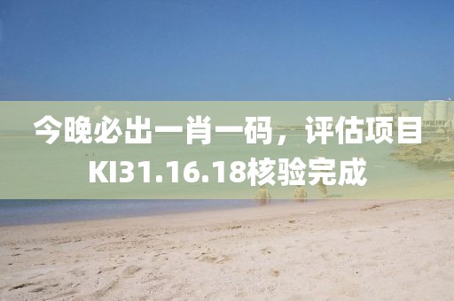 今晚必出一肖一碼，評(píng)估項(xiàng)目KI31.16.18核驗(yàn)完成