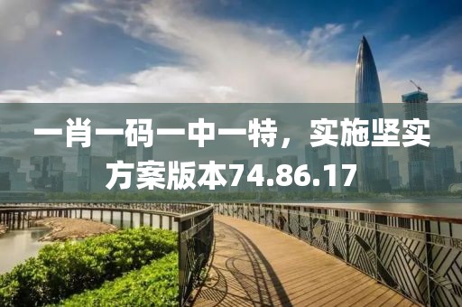 一肖一碼一中一特，實施堅實方案版本74.86.17
